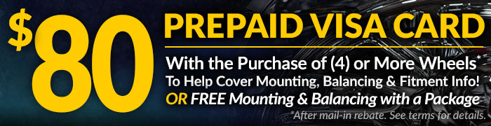 Prepaid Visa Card after Mail-In Rebate. See Terms for Details. $80 Prepaid Visa after Mail-in Rebate