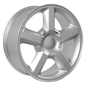 OEM LTZ Silver