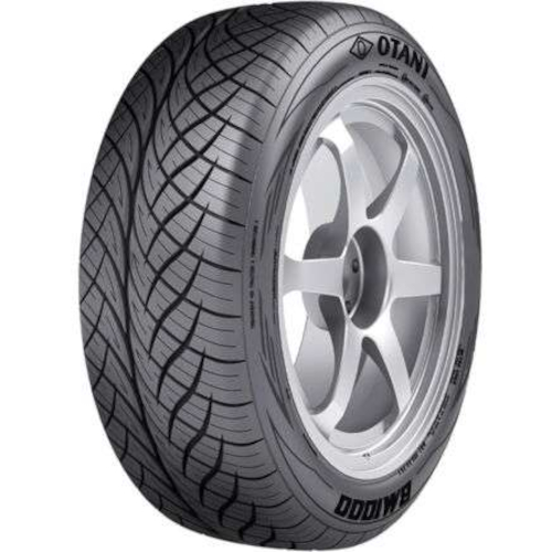 Otani BM1000 - Part Number S210A Otani BM1000 Photo