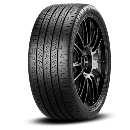 Pirelli P Zero MS - Part Number 4219900 Pirelli P Zero MS Photo